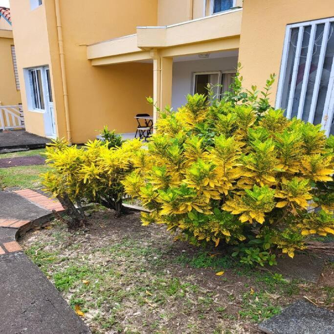 Appartement A Saint-Anne - Residence Beauregard Sainte-Anne Buitenkant foto